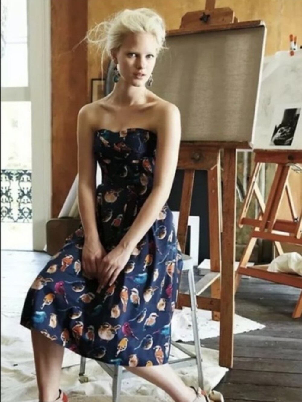 Anthropologie × Maeve Native Bird Print Dress Y2k Coquette Strapless Cotton 0